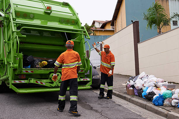 Best Yard Waste Removal in Bridgewater, VA